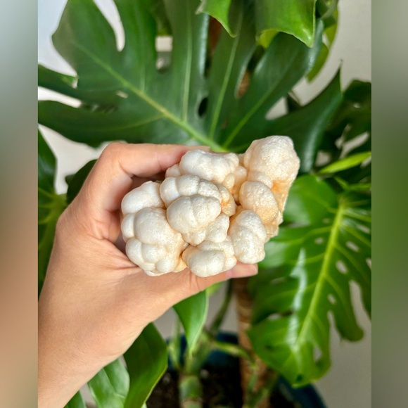 Aragonite From Morocco - Picture 4 of 4